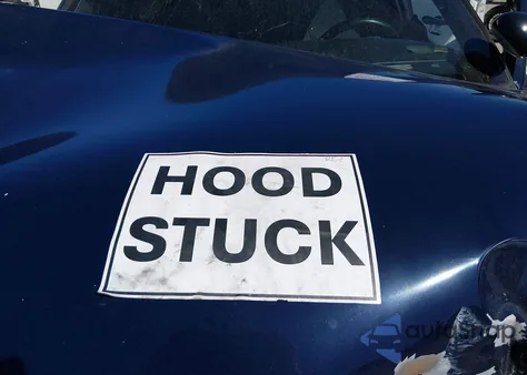 2010 Ford Crown Victoria Police/Police Interceptor from USA, damaged, VIN 2FABP7BV4AX123721